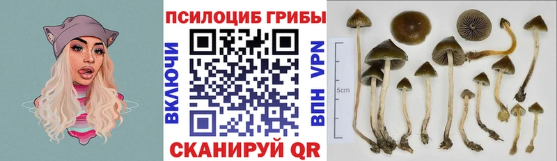 Галлюциногенные грибы MAGIC MUSHROOMS  Осинники 