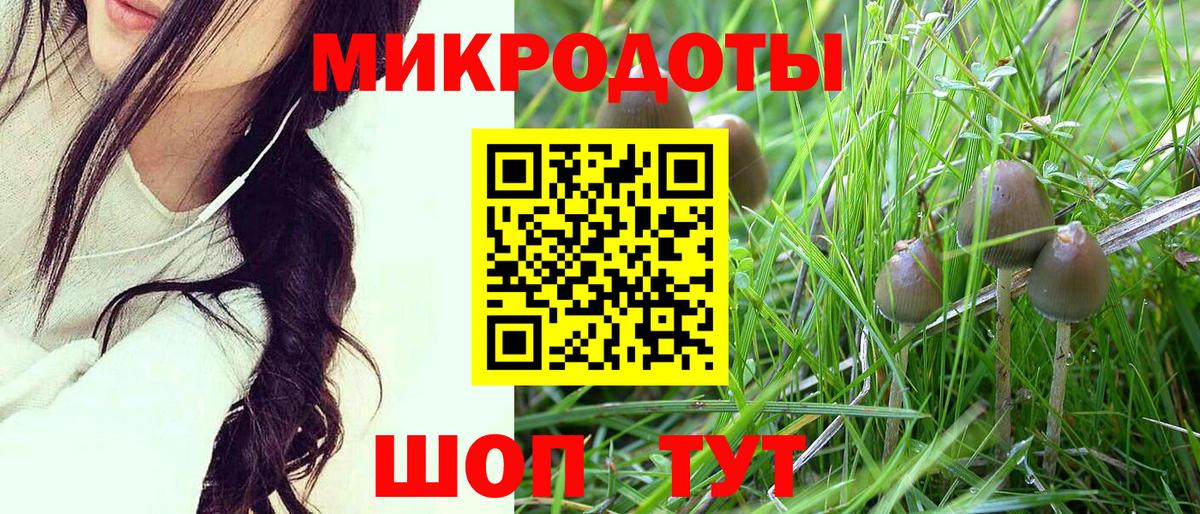 Галлюциногенные грибы Cubensis  Вход с VPN  Псилоцибиновые грибы GOLDEN TEACHER  Осинники 