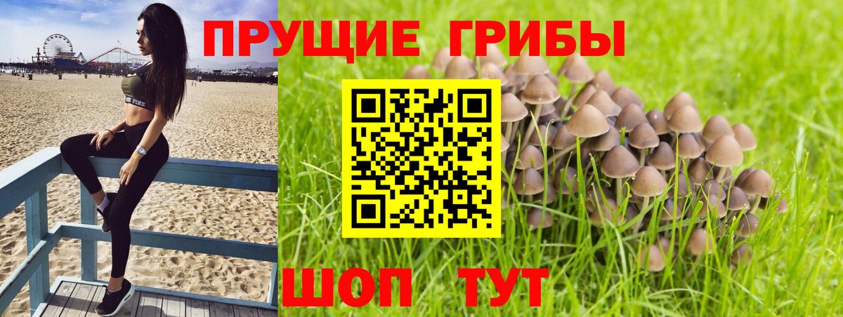 Галлюциногенные грибы мухоморы Осинники