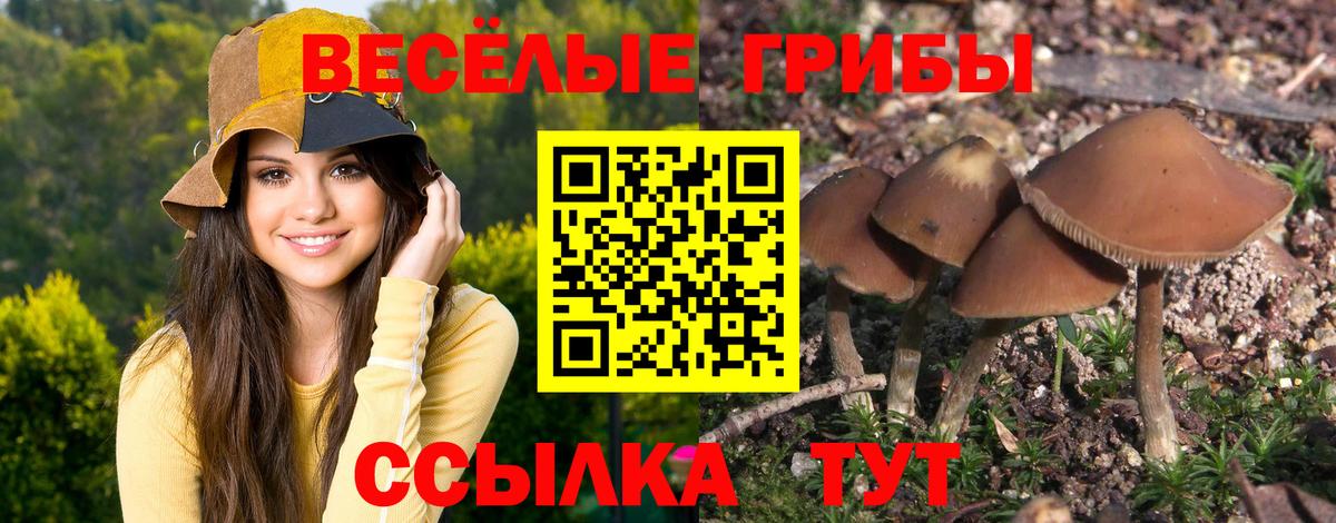 Осинники  Бошки Шишки  Вход с VPN  Кокаин  ГАШ  КОКАИН  Меф кристаллы  MDMA 